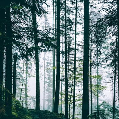 View from a window showing a calm outdoor scene after a workout.